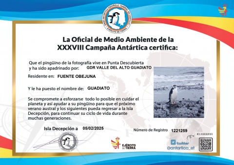 certificado apadrinamiento